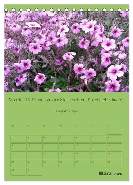 Produktbild: Erkenntnis und Weisheit - Hildegard von Bingen (Tischkalender 2026 DIN A5 hoch), CALVENDO Monatskalender
