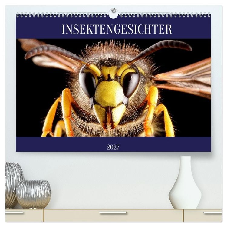 Produktbild: INSEKTENGESICHTER (hochwertiger Premium Wandkalender 2027 DIN A2 quer), Kunstdruck in Hochglanz