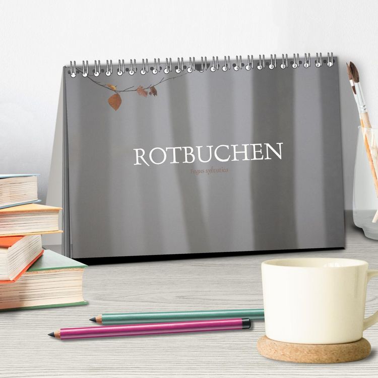 Produktbild: Rotbuchen (Tischkalender 2026 DIN A5 quer), CALVENDO Monatskalender