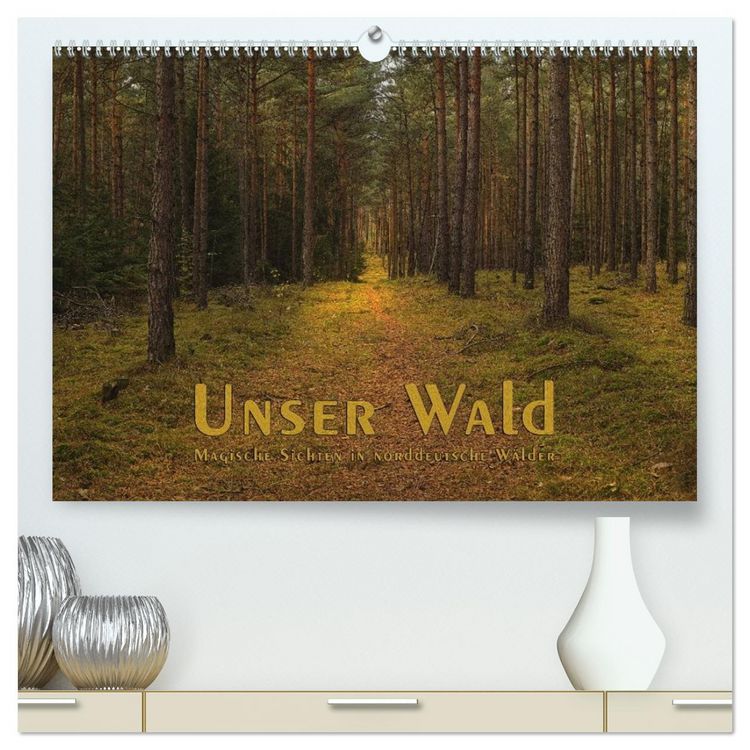 Produktbild: Unser Wald - Magische Sichten in norddeutsche W&auml;lder (hochwertiger Premium Wandkalender 2026 DIN A2 quer), Kunstdruck in Hochglanz