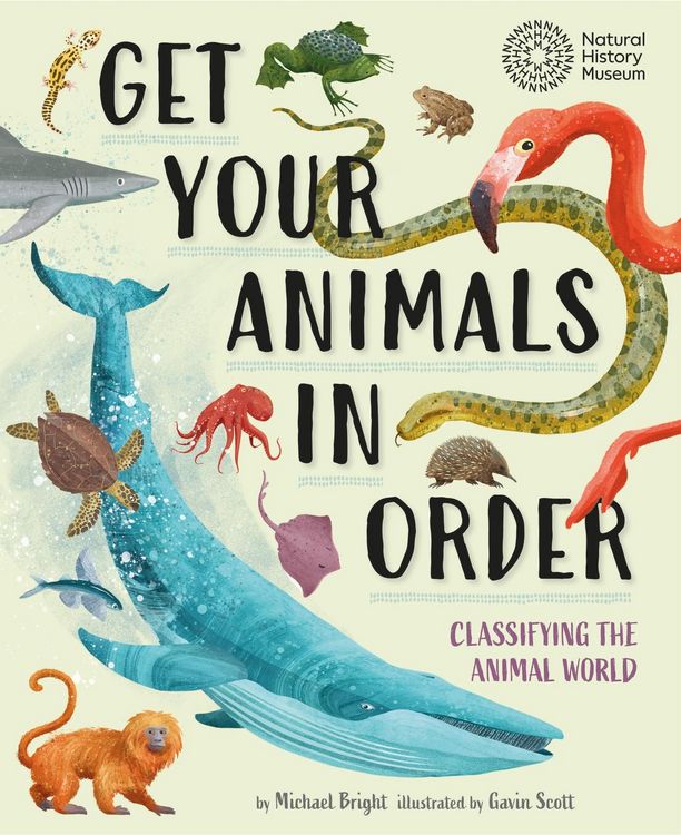 Produktbild: Bright, M: Get Your Animals in Order: Classifying the Animal