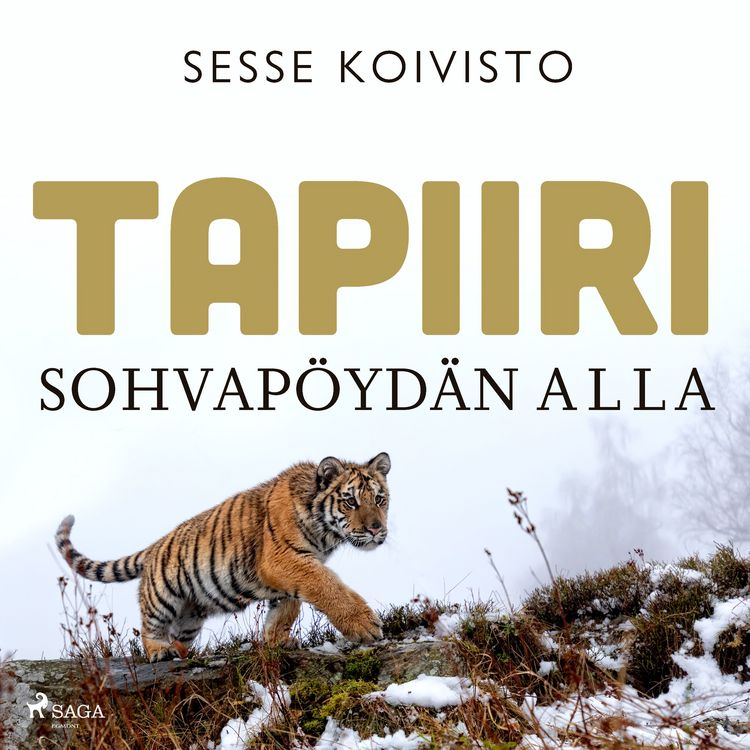 Produktbild: Tapiiri sohvap&ouml;yd&auml;n alla