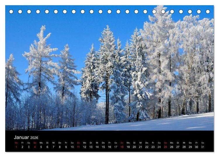 Produktbild: B&auml;ume (Tischkalender 2026 DIN A5 quer), CALVENDO Monatskalender