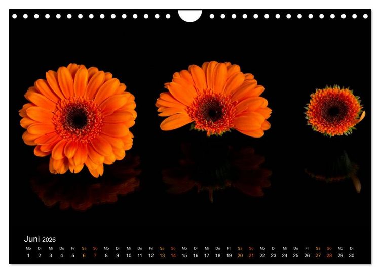 Produktbild: Ver&auml;ndertes (Wandkalender 2026 DIN A4 quer), CALVENDO Monatskalender