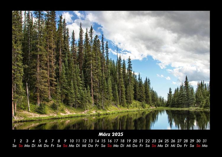 Produktbild: B&auml;ume 2025 Fotokalender DIN A3