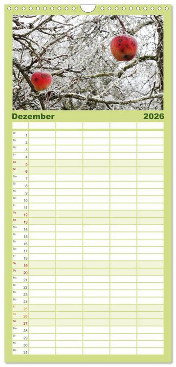 Produktbild: Familienplaner 2026 - Jahreszeiten mit 5 Spalten (Wandkalender, 21 x 45 cm) CALVENDO