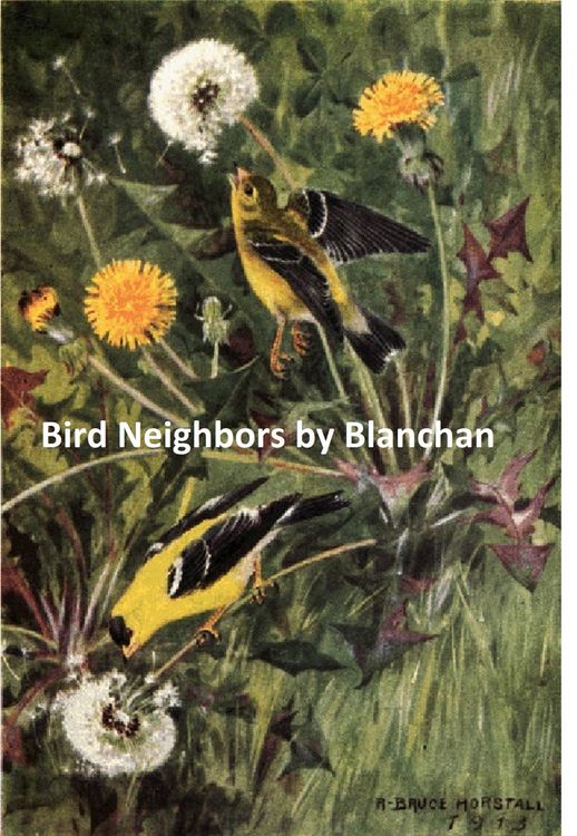 Produktbild: Bird Neighbors
