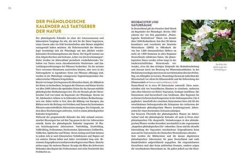 Produktbild: Das Bienenjahr