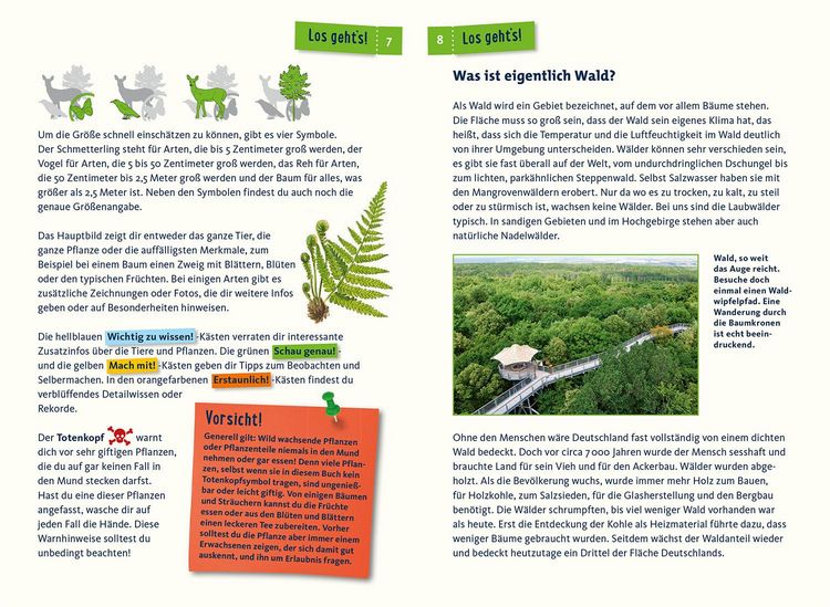 Produktbild: Was lebt im Wald? Kindernaturf&uuml;hrer