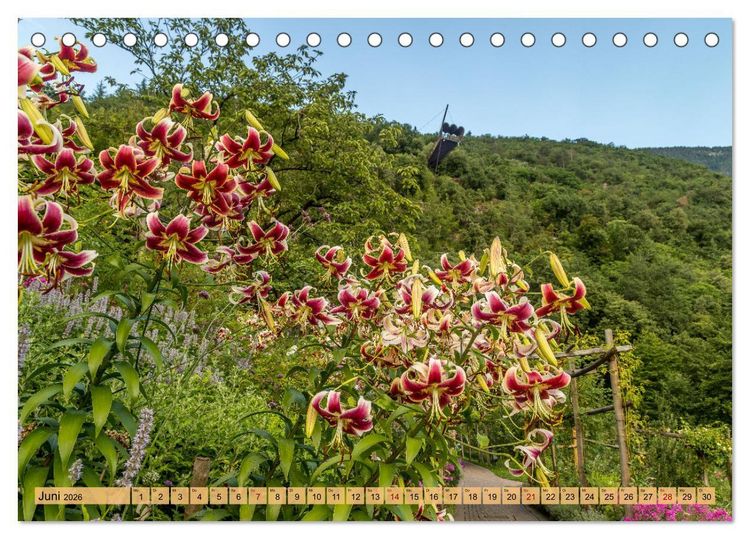 Produktbild: S&uuml;dtirol - Meraner Land (Tischkalender 2026 DIN A5 quer), CALVENDO Monatskalender