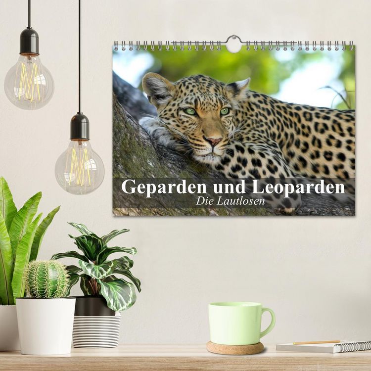 Produktbild: Die Lautlosen. Geparden und Leoparden (Wandkalender 2026 DIN A4 quer), CALVENDO Monatskalender