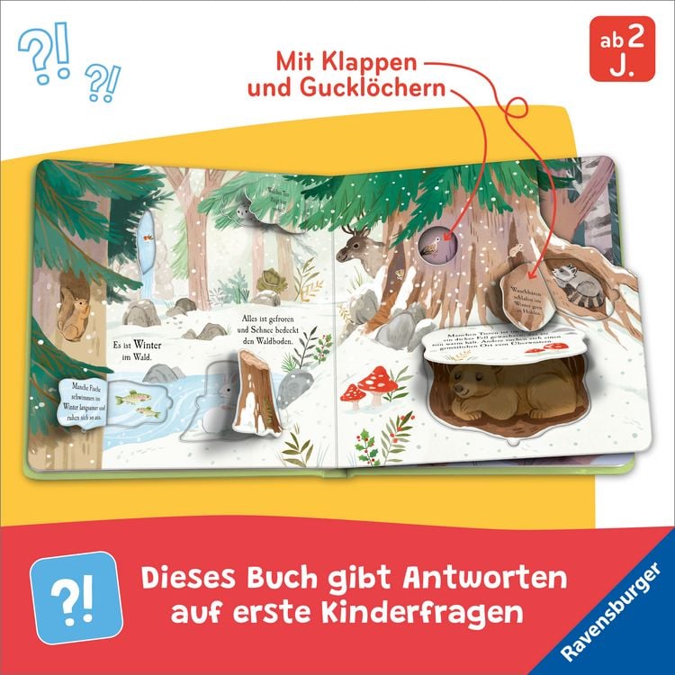Produktbild: Auf Entdeckungstour - Im Wald