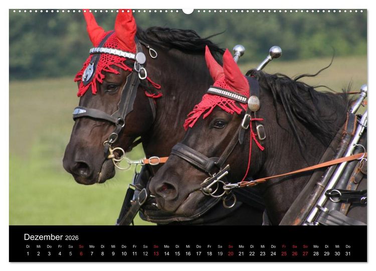 Produktbild: Starke Pferde bei der Arbeit (Wandkalender 2026 DIN A2 quer), CALVENDO Monatskalender