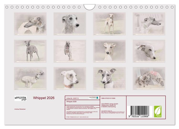 Produktbild: Whippet 2026 (Wandkalender 2026 DIN A4 quer), CALVENDO Monatskalender