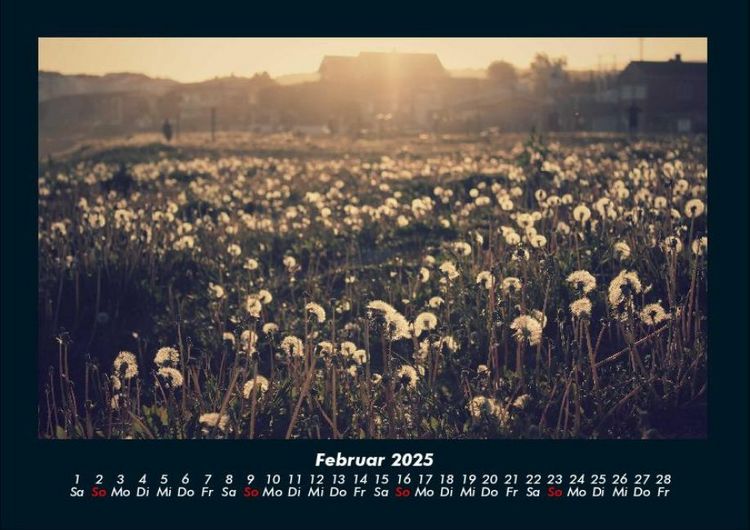 Produktbild: Blumenkalender 2025 Fotokalender DIN A4