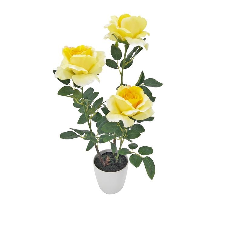 Bild vom Artikel NTK-Collection Kunstblume Rosen im Topf Leilani vom Autor 