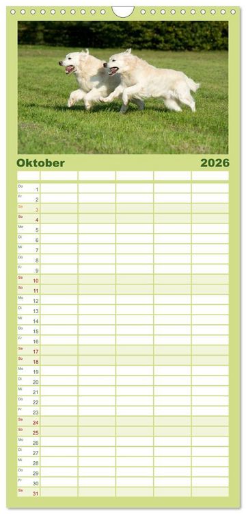 Produktbild: Familienplaner 2026 - Golden Retriever mit 5 Spalten (Wandkalender, 21 x 45 cm) CALVENDO