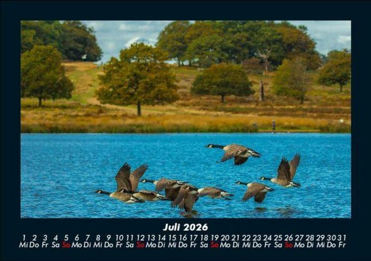 Produktbild: Seeblick 2026 Fotokalender DIN A5