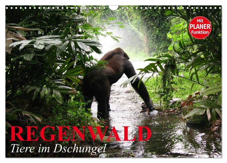 Produktbild: Regenwald. Tiere im Dschungel (Wandkalender 2026 DIN A3 quer), CALVENDO Monatskalender