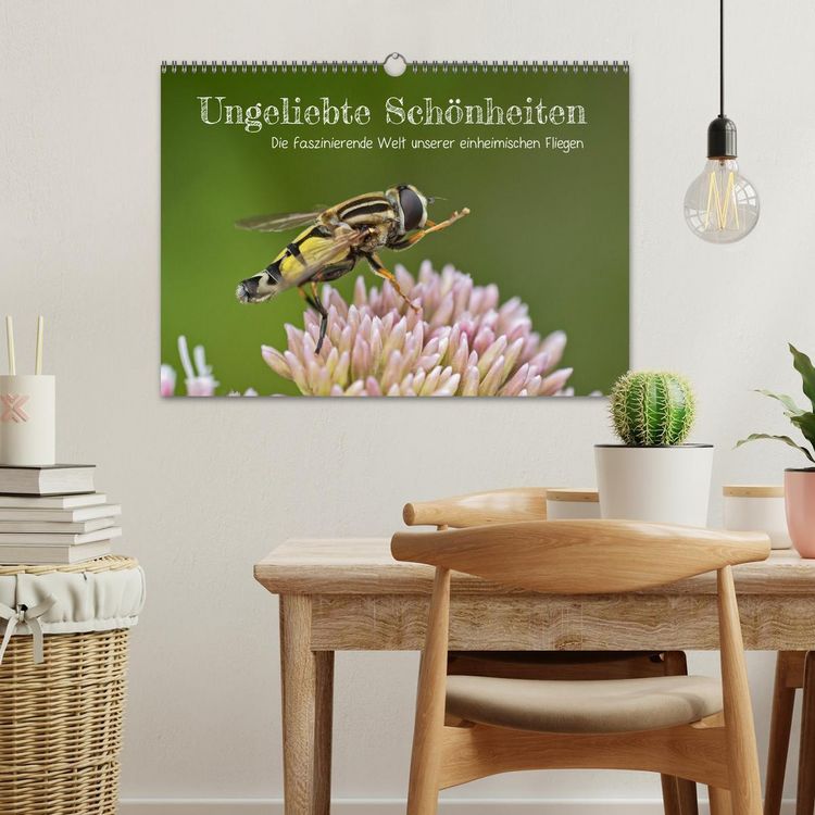 Produktbild: Ungeliebte Sch&ouml;nheiten - die faszinierende Welt unserer heimischen Fliegen (Wandkalender 2026 DIN A3 quer), CALVENDO Monatskalender