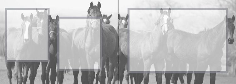 Produktbild: Mein Reiter-Tagebuch - F&uuml;r alle Erlebnisse und Erinnerungen aus dem Reitstall