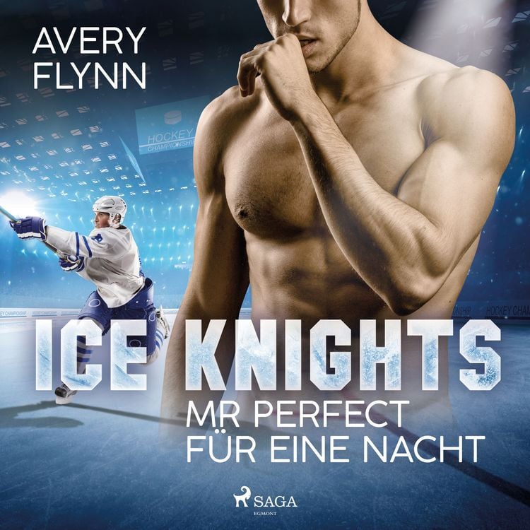 Produktbild: Ice Knights - Mr Perfect für eine Nacht