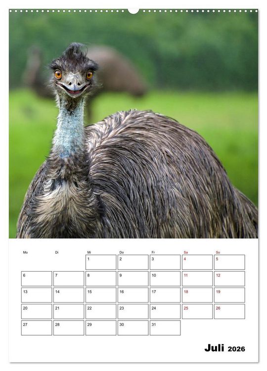 Produktbild: Australiens faszinierende Tierwelt (Wandkalender 2026 DIN A2 hoch), CALVENDO Monatskalender