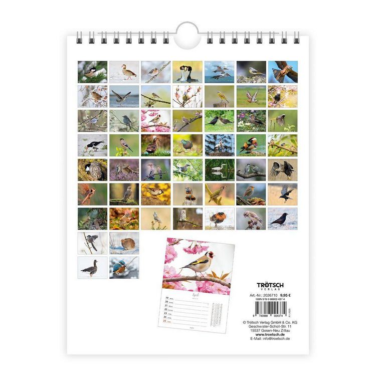 Produktbild: TR&Ouml;TSCH - Wochenkalender zum H&auml;ngen Heimische V&ouml;gel 2027