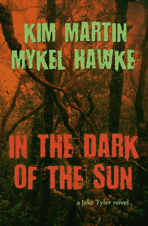 Produktbild: In the Dark of the Sun