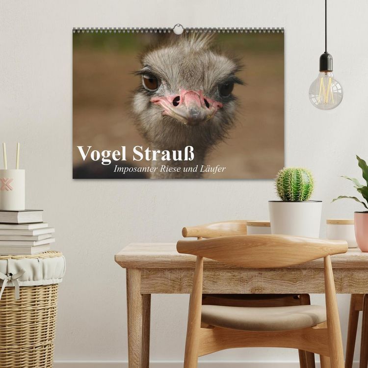 Produktbild: Vogel Strau&szlig;. Imposanter Riese und L&auml;ufer (Wandkalender 2026 DIN A3 quer), CALVENDO Monatskalender