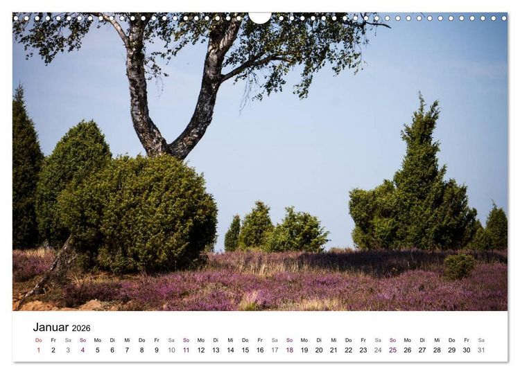 Produktbild: L&uuml;neburger Heide (Wandkalender 2026 DIN A3 quer), CALVENDO Monatskalender