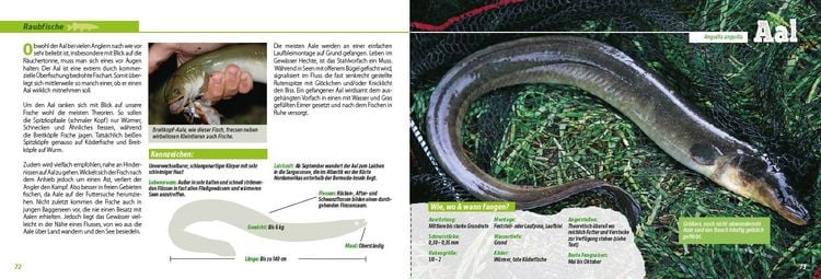 Produktbild: Angler-Lexikon der S&uuml;&szlig;wasserfische