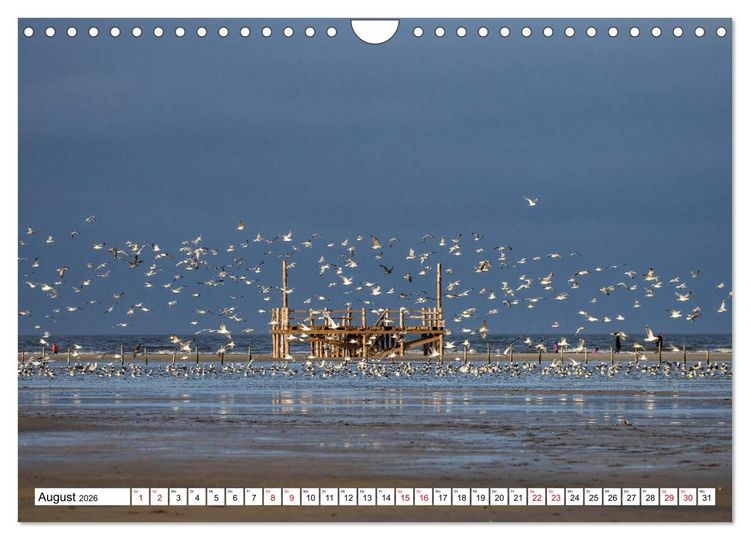 Produktbild: Impressionen aus Sankt Peter-Ording (Wandkalender 2026 DIN A4 quer), CALVENDO Monatskalender