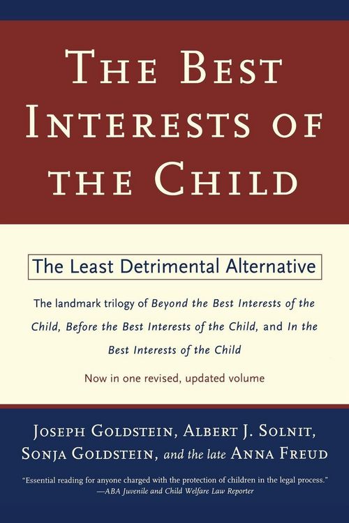 Produktbild: The Best Interests of the Child