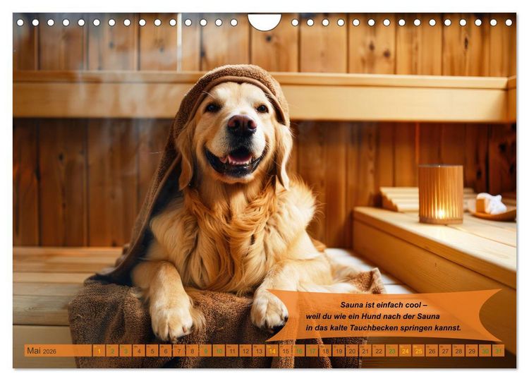 Produktbild: Tierisch lustige Saunafreunde (Wandkalender 2026 DIN A4 quer), CALVENDO Monatskalender
