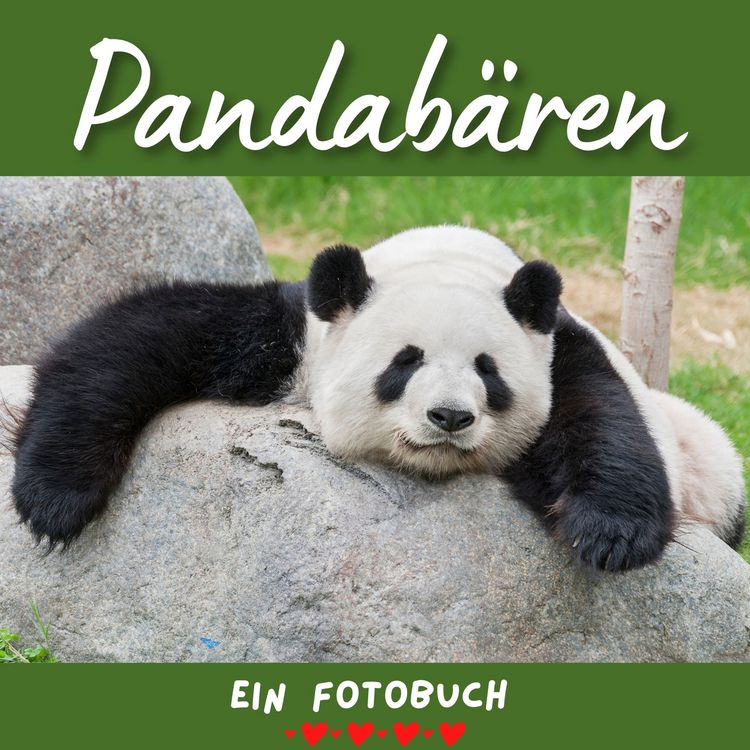Produktbild: Pandab&auml;ren