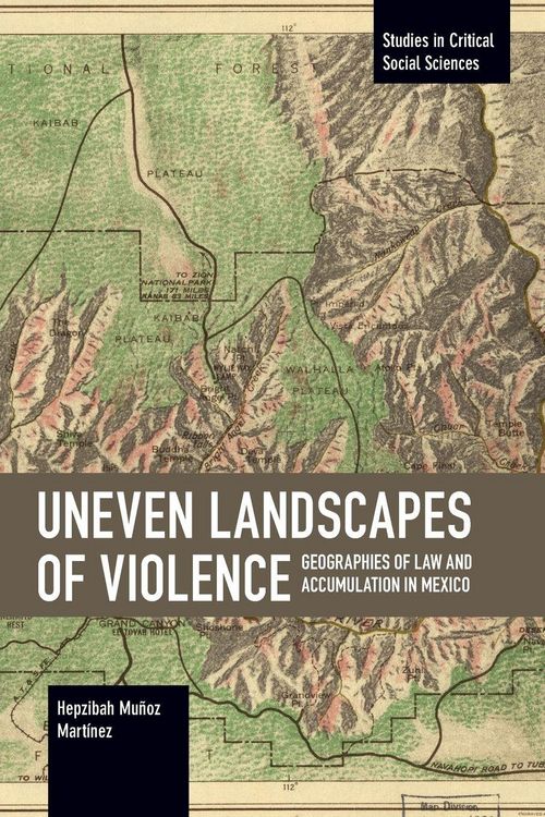 Produktbild: Uneven Landscapes of Violence