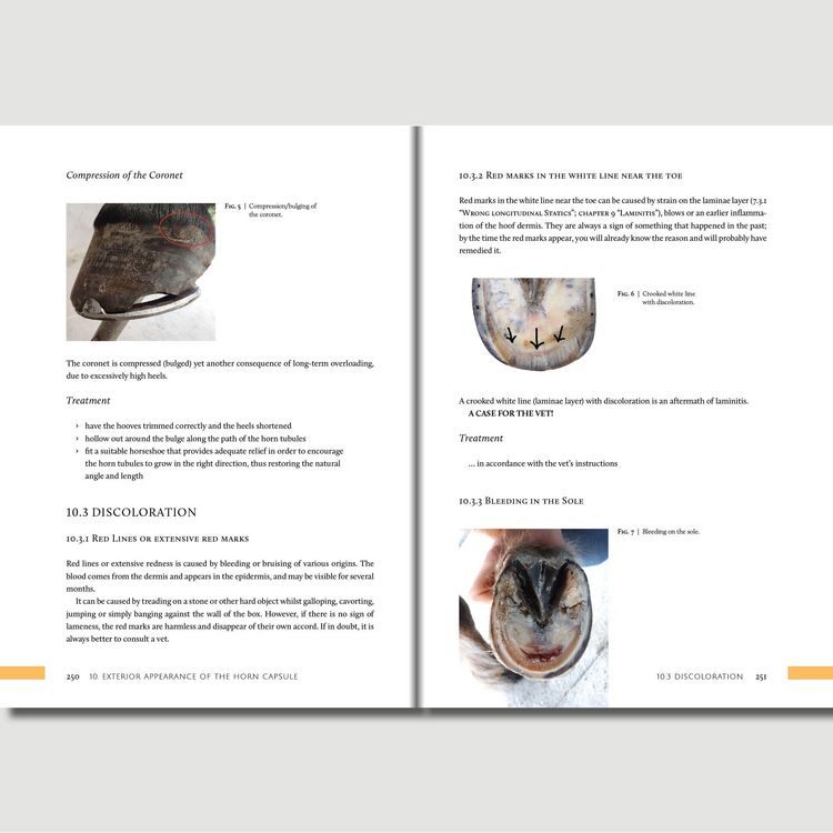 Produktbild: Hoofwork