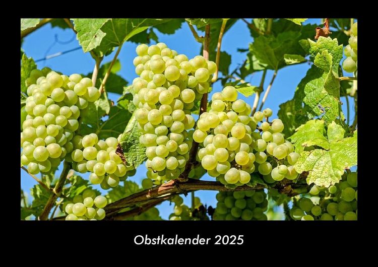 Produktbild: Obstkalender 2025 Fotokalender DIN A3