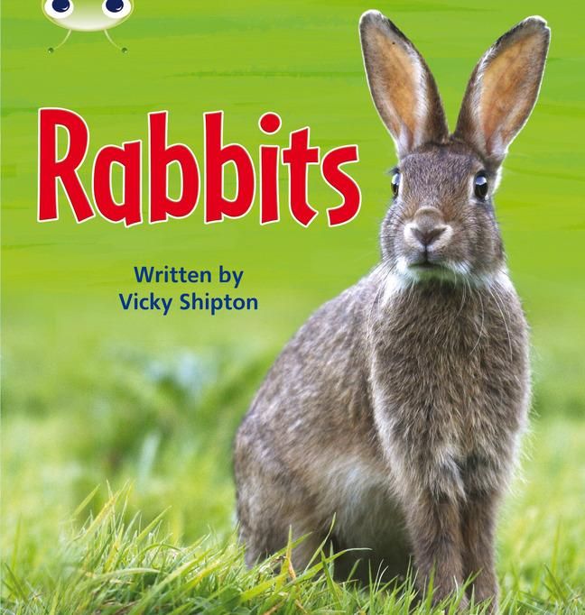 Produktbild: Bug Club Phonics - Phase 5 Unit 27: Rabbits