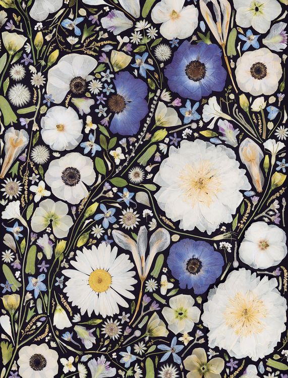 Produktbild: Beautiful Blooms Wrapping Paper Book