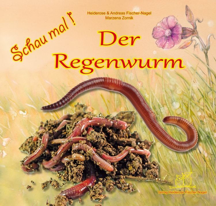 Produktbild: Schau mal ! / Schau mal! Der Regenwurm