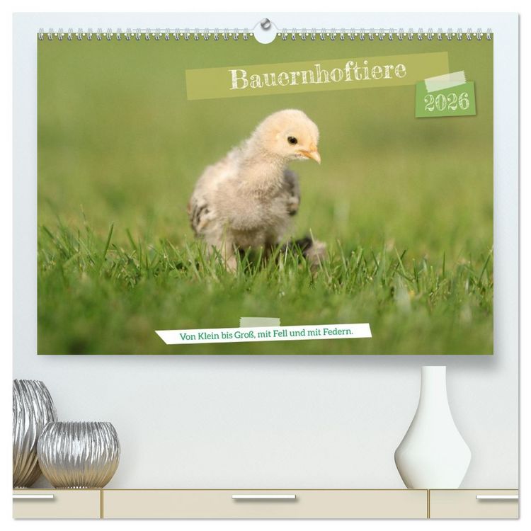 Produktbild: Bauernhoftiere - Von Klein bis Gro&szlig;, mit Fell und mit Federn. (hochwertiger Premium Wandkalender 2026 DIN A2 quer), Kunstdruck in Hochglanz