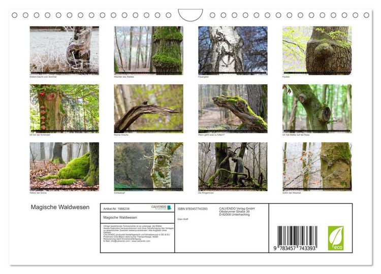 Produktbild: Magische Waldwesen (Wandkalender 2026 DIN A4 quer), CALVENDO Monatskalender