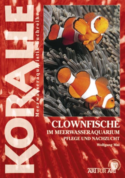 Produktbild: Clownfische im Meerwasseraquarium