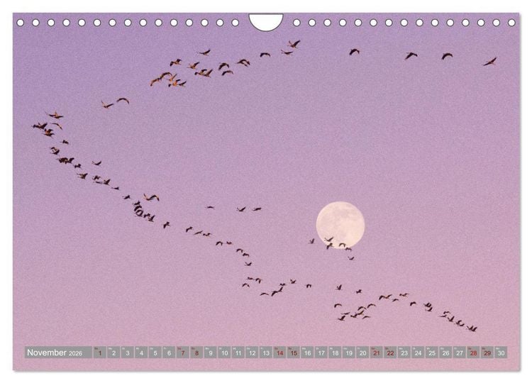 Produktbild: Vollmond - Momente der Ruhe (Wandkalender 2026 DIN A4 quer), CALVENDO Monatskalender