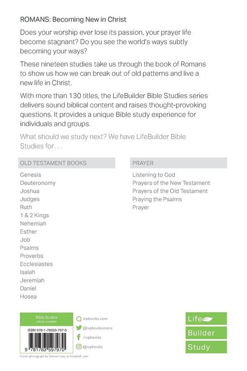 Produktbild: Romans (Lifebuilder Study Guides)