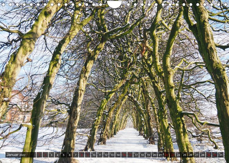 Produktbild: Neustadt am R&uuml;benberge Natur in Stadtn&auml;he (Wandkalender 2022 DIN A4 quer)