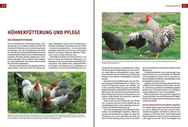 Produktbild: Das H&uuml;hnerbuch