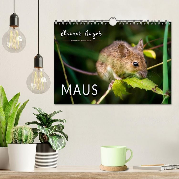 Produktbild: Kleiner Nager - Maus (Wandkalender 2026 DIN A4 quer), CALVENDO Monatskalender